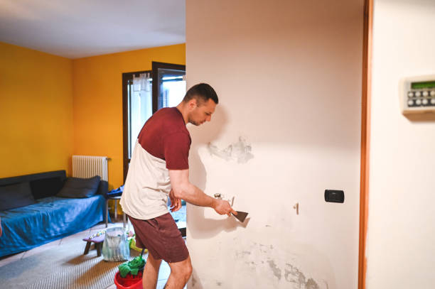 Mold Removal and Inspection in Campton Hills, IL